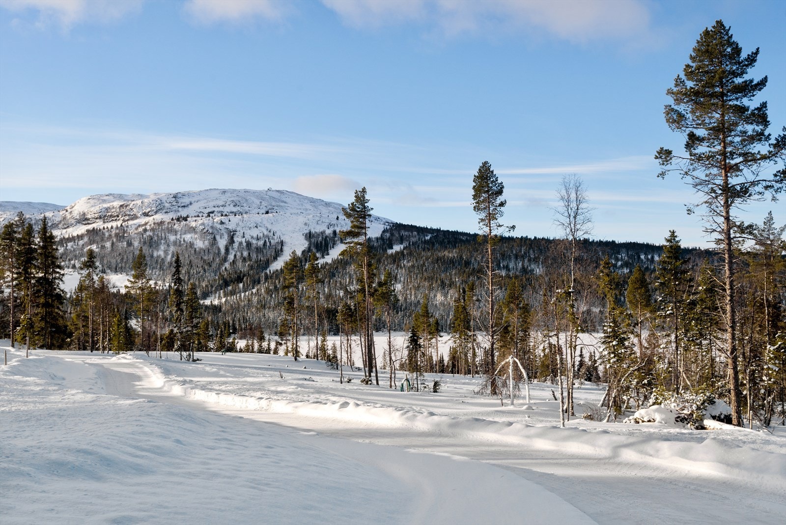 Tomtefeltet med alpinbakkene i Valsfjell i bakgrunnen. Galleribilde
