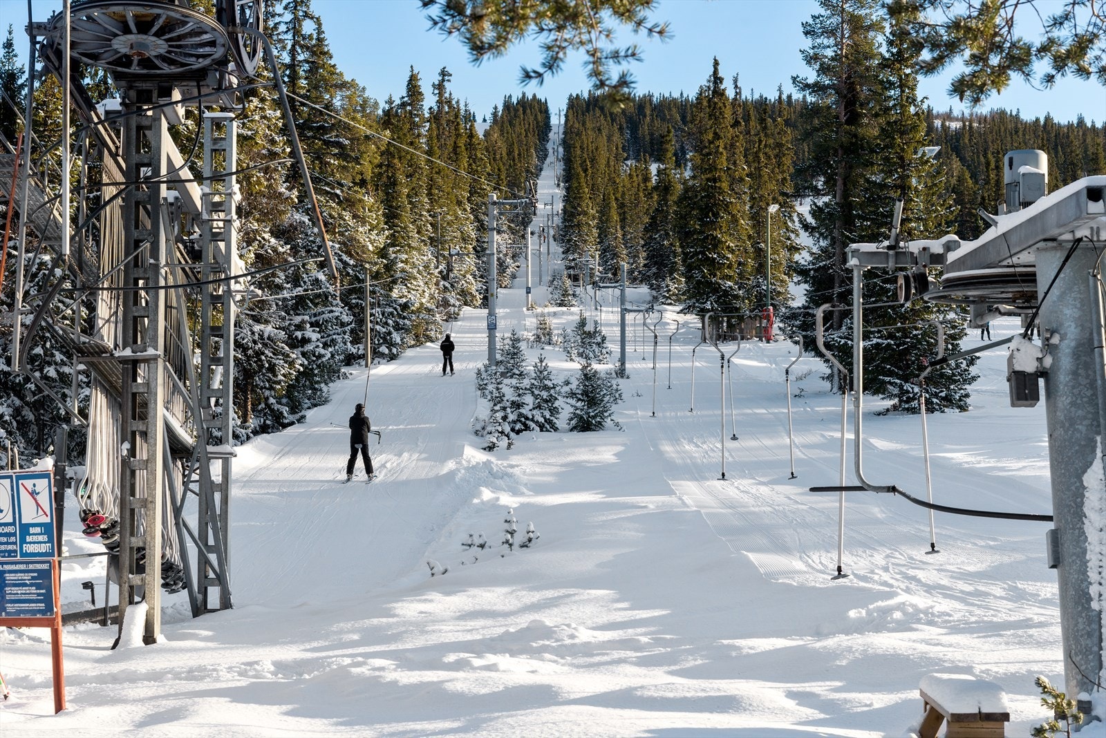 Heisen i Blåbærfjell. Galleribilde