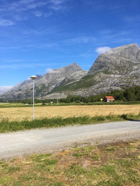 Områdebilde Galleribilde