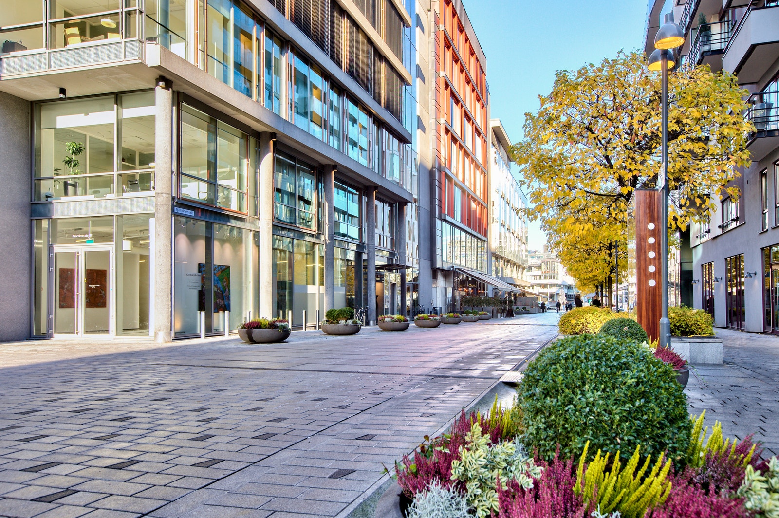 Nærområdet Galleribilde