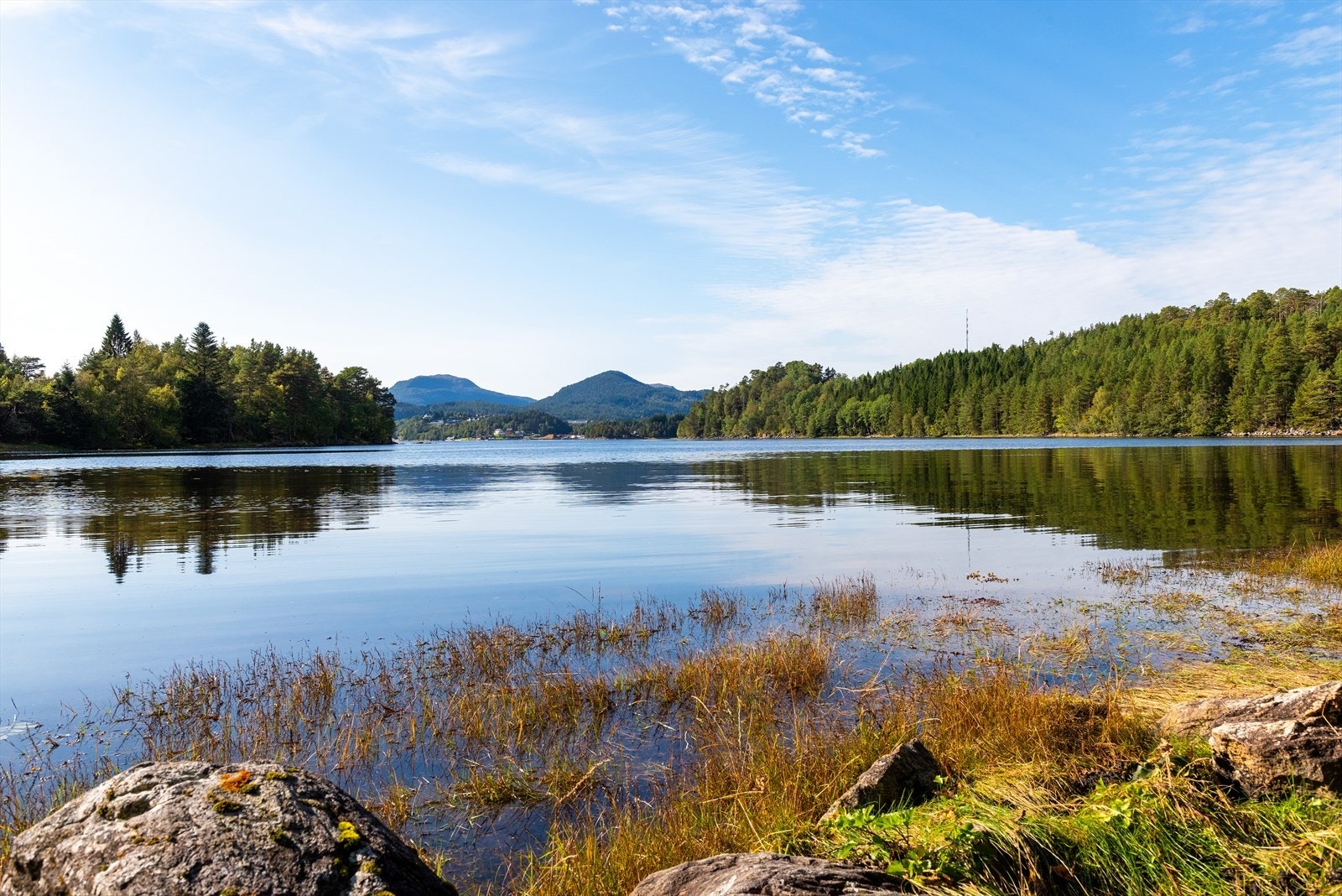 Fra fjorden nedenfor eiendommen Galleribilde