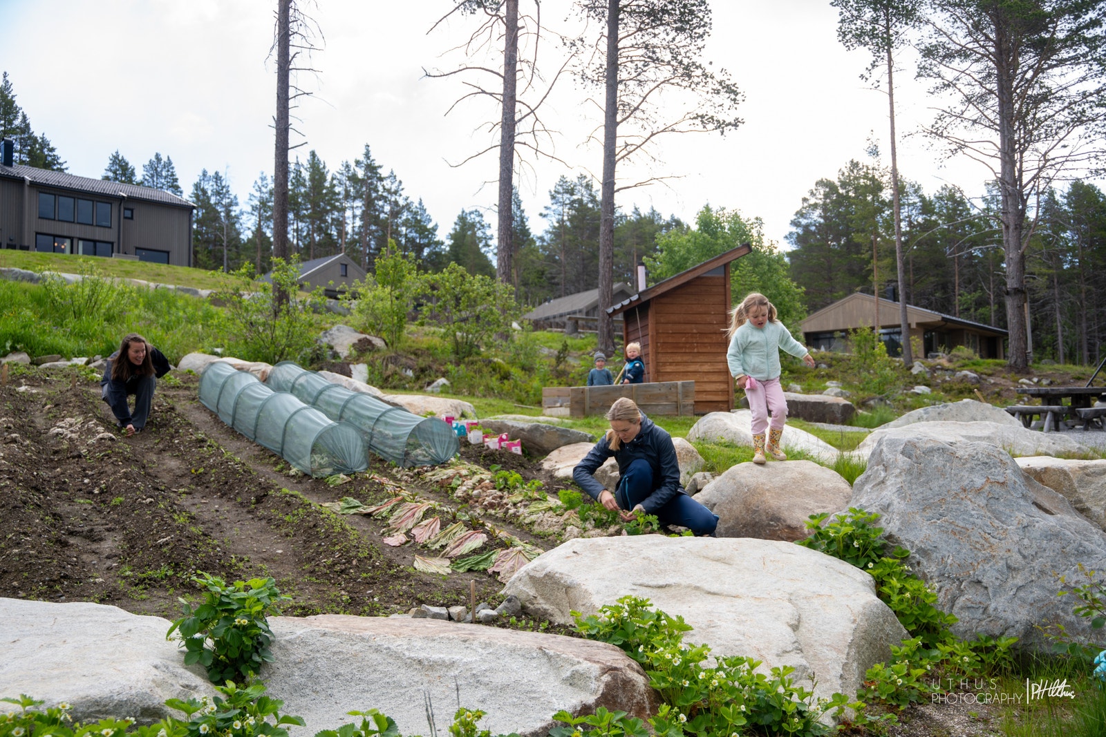 Andelsåkeren fordeles mellom de som ønsker å dyrke fra år til år. I forkant er det planet masse jordbærplanter, som alle kan nyte utover sommeren. Galleribilde