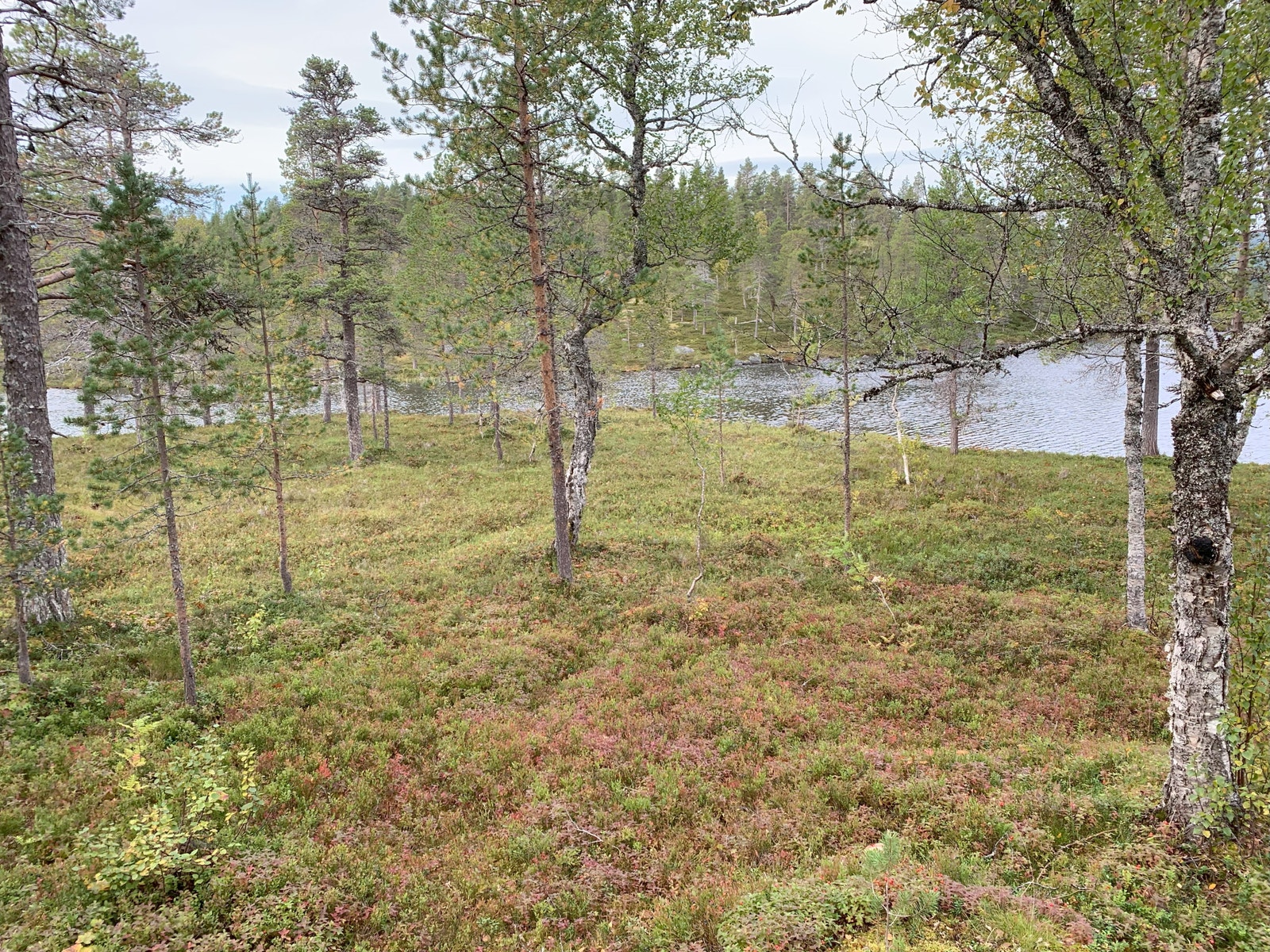 Utsikt fra terrasse Galleribilde