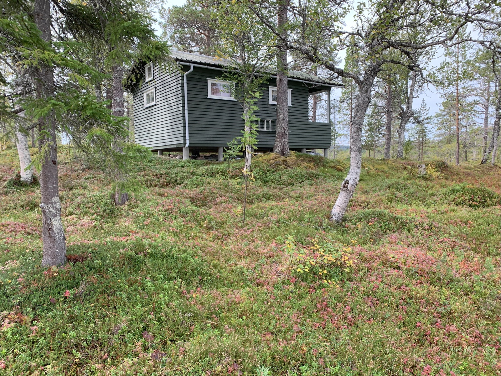 Hytta sett fra nordvest Galleribilde