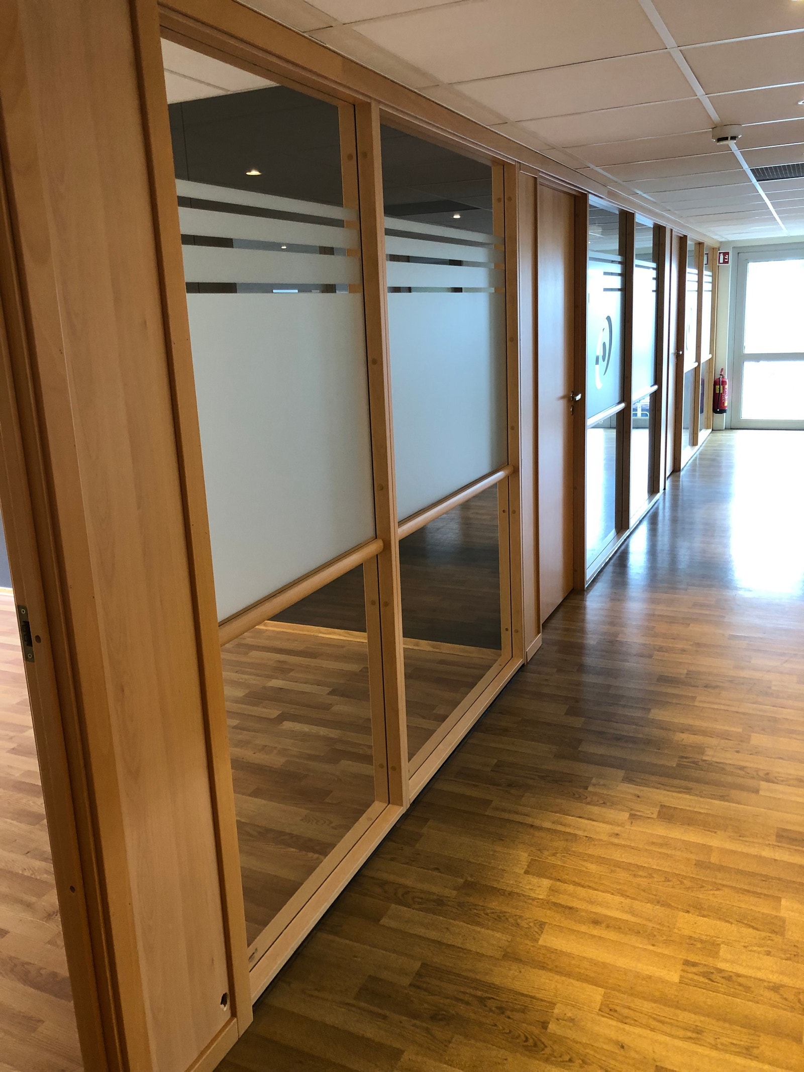 Egen fløyel og gang. Galleribilde