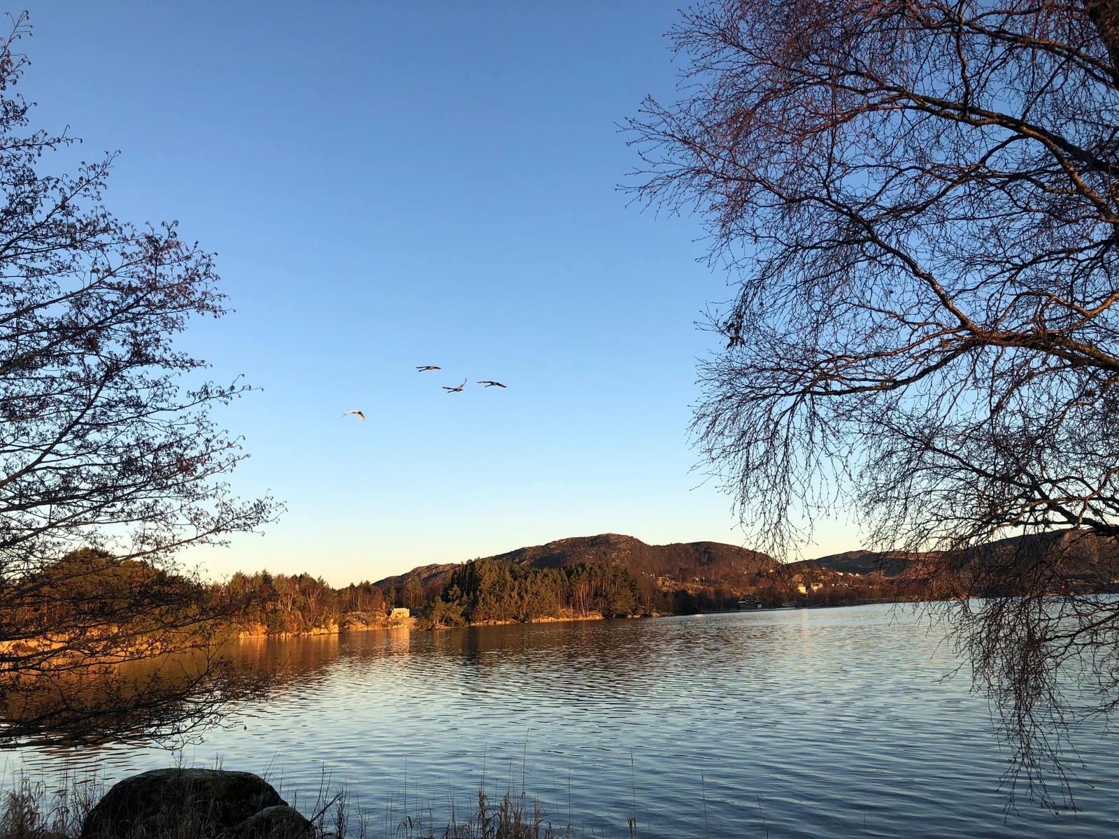 Bilde tatt ved Aksdalvannet / Eikeskog! Aksdalsvannet er et rikt og godt fiskevann for ørretfrelste sportsfiskere