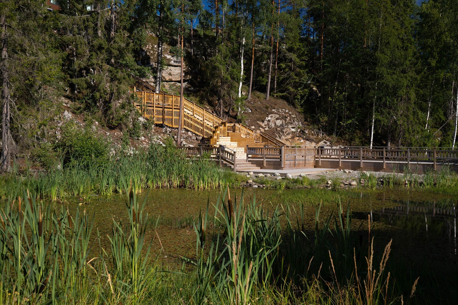 Salamanderdammen Galleribilde