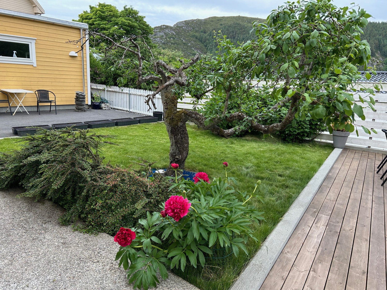 Koselig uteområde Galleribilde