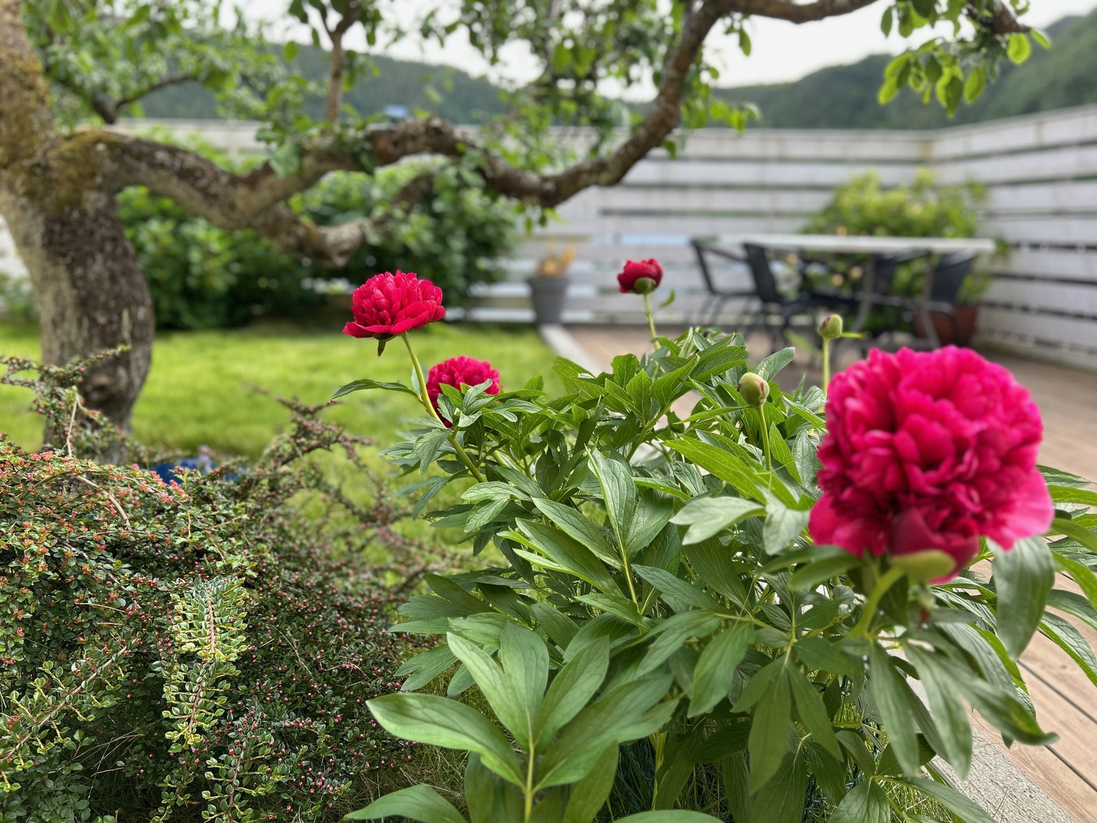 Koselig uteområde Galleribilde