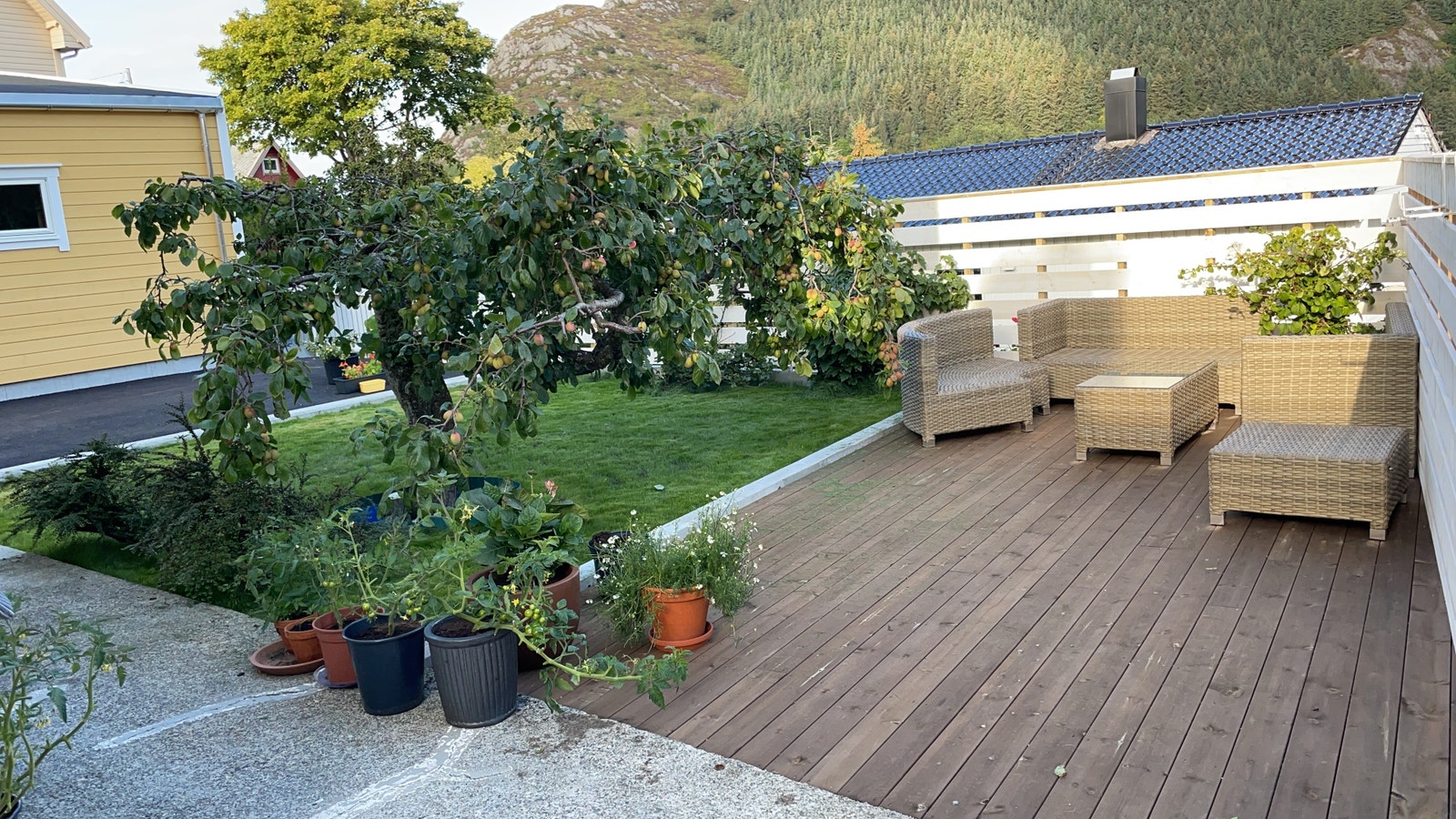 Trivelig uteområde Galleribilde