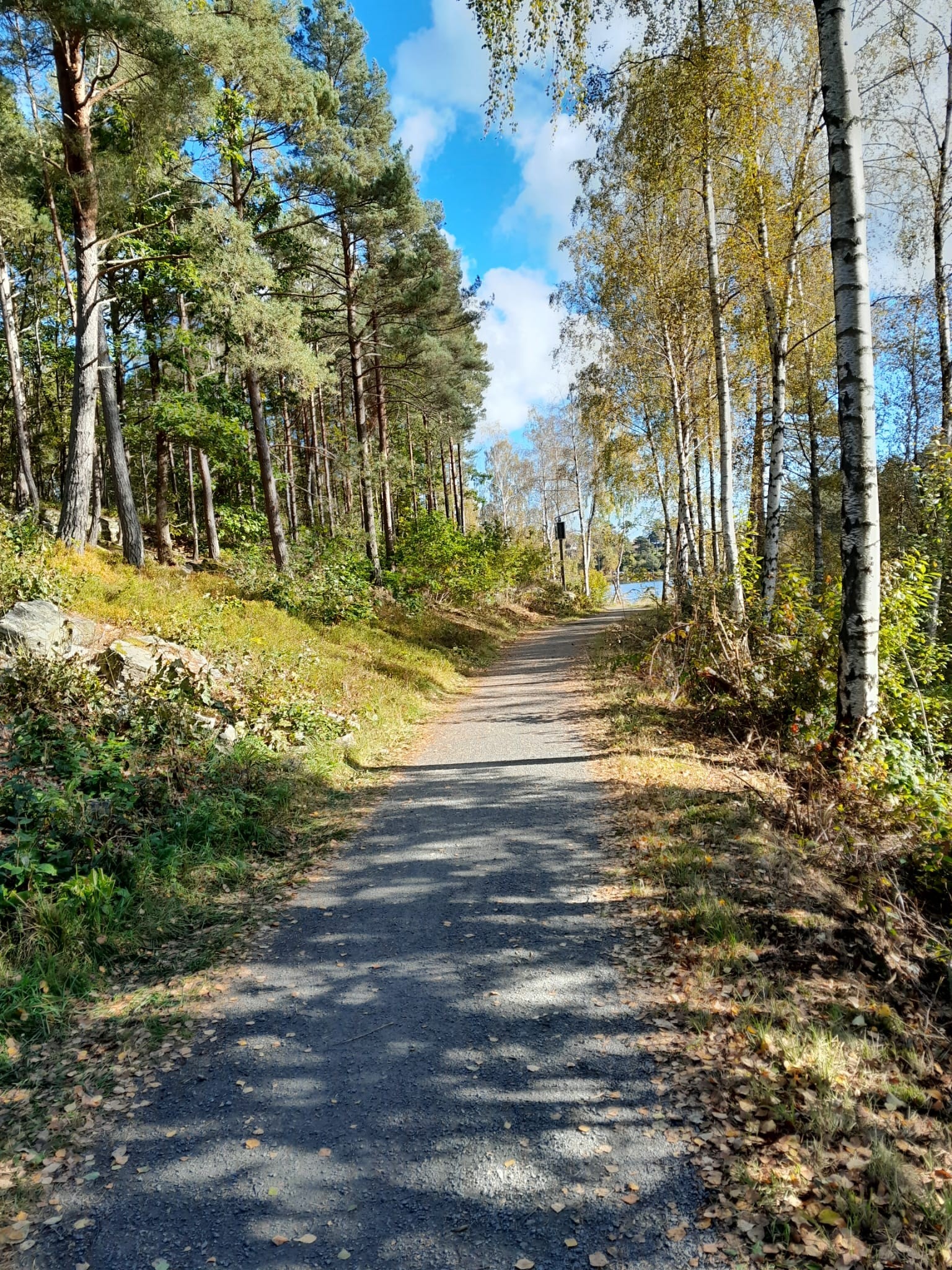 Flotte turstier i nærområdet Galleribilde