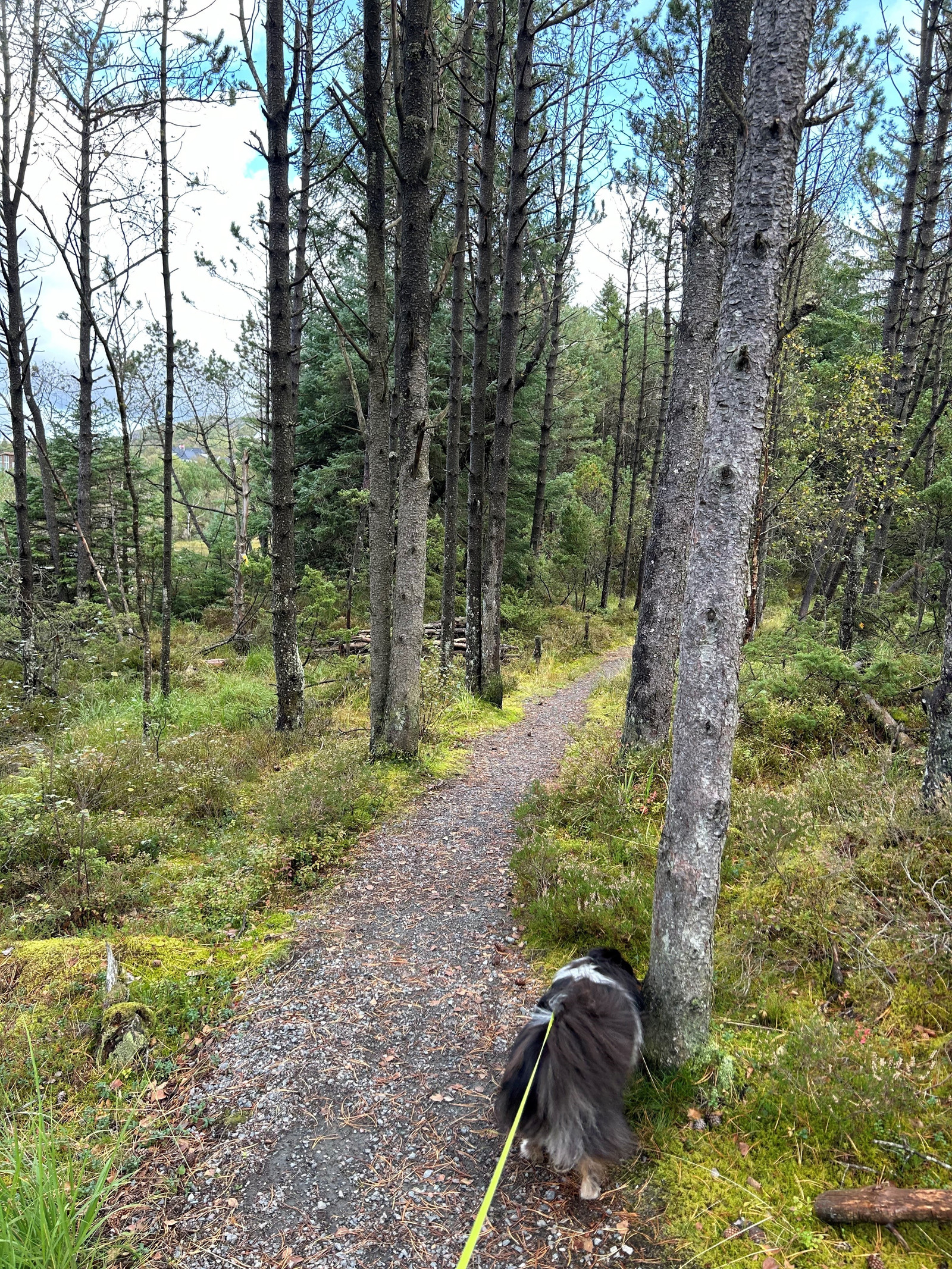 Turløyper i nærområdet