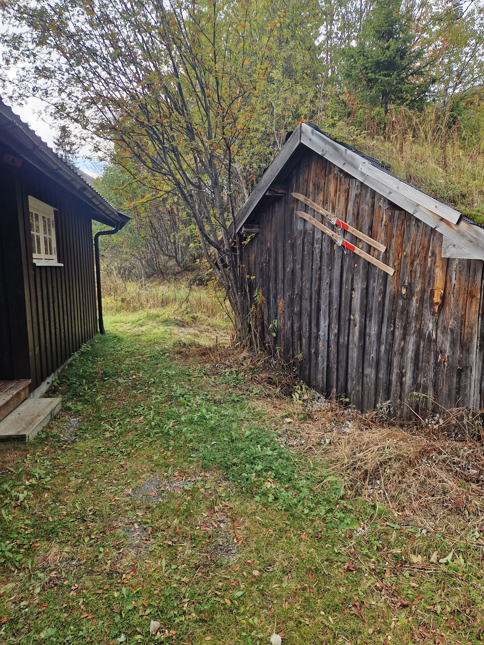 Inngangsparti. Uthus for ved Galleribilde