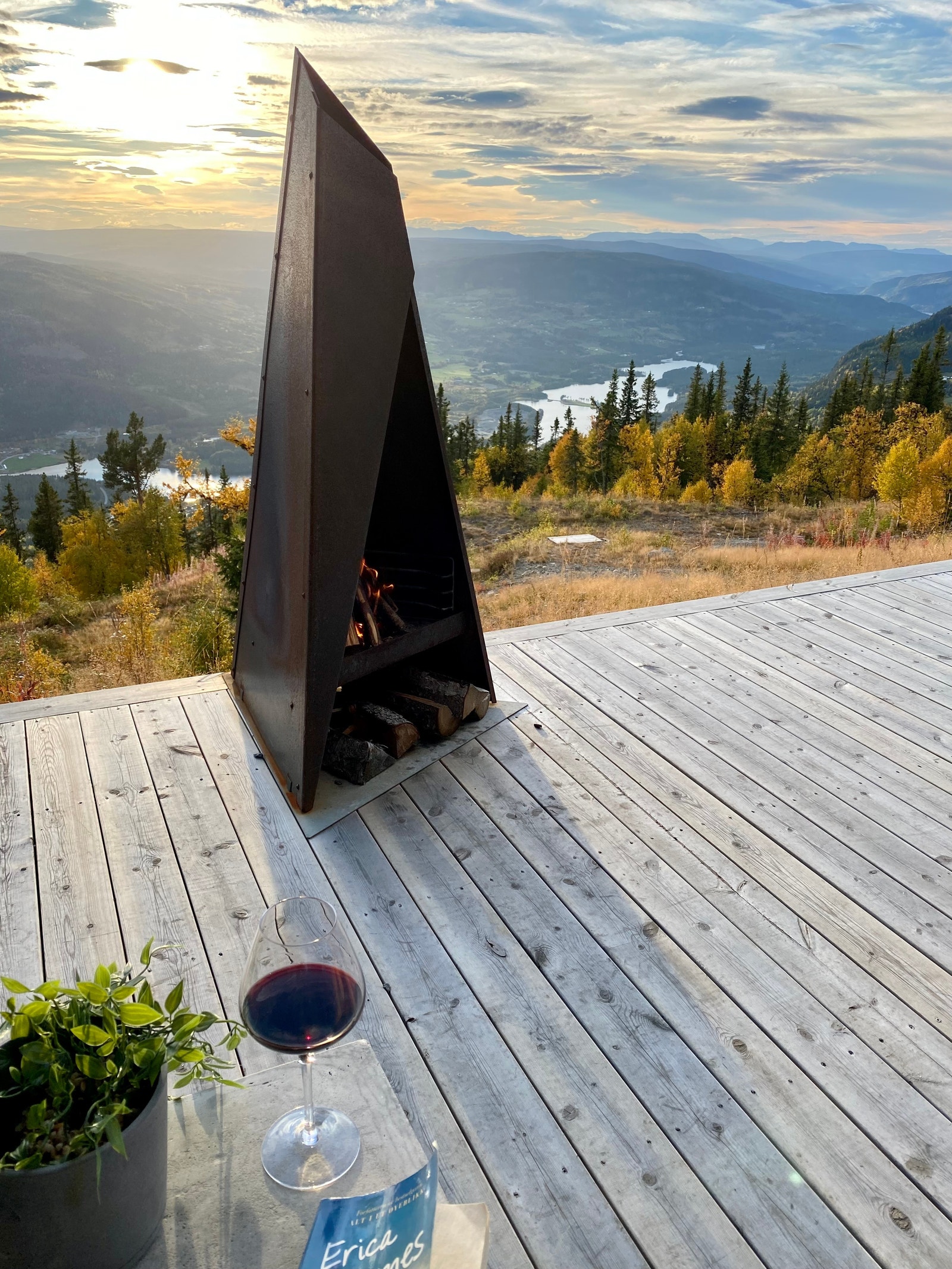 Utepeis Galleribilde