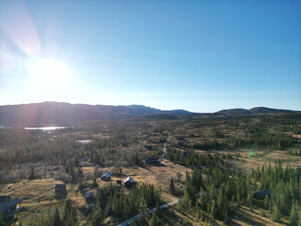 Gråfjell og Tingsjø til venstre i bildet. Hytta nede i høyre hjørne. Galleribilde