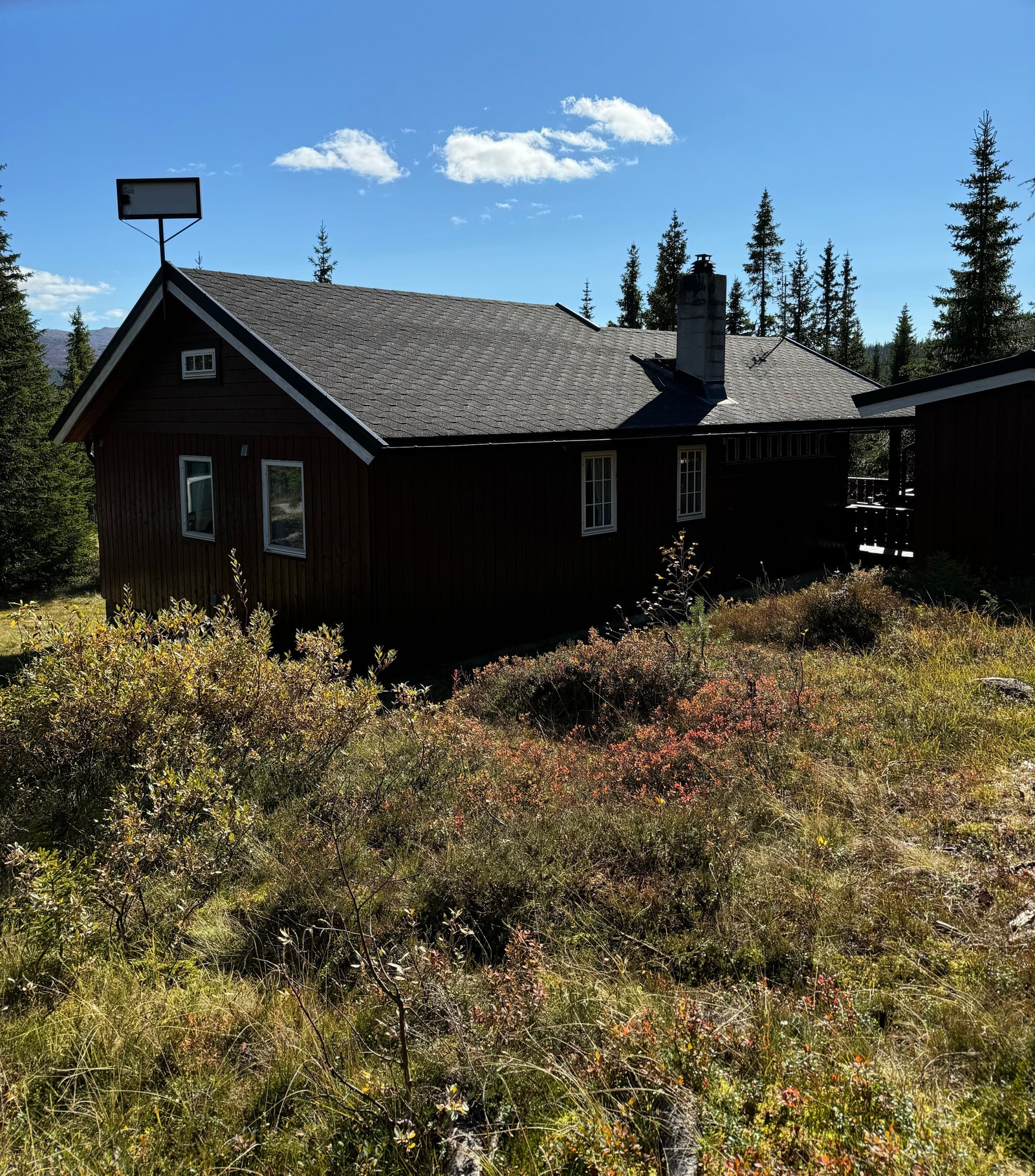 Baksiden. Galleribilde