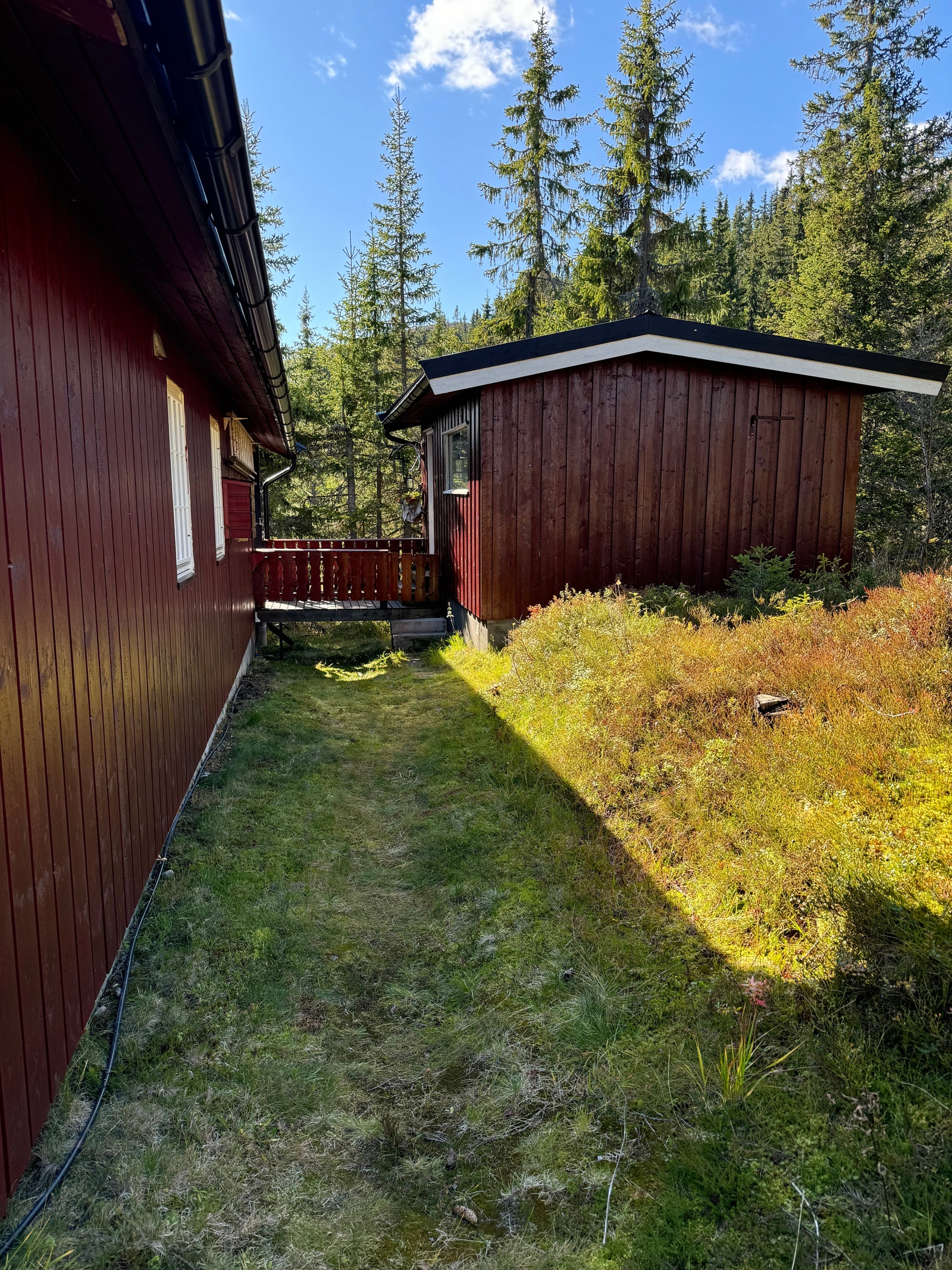 Baksiden. Galleribilde