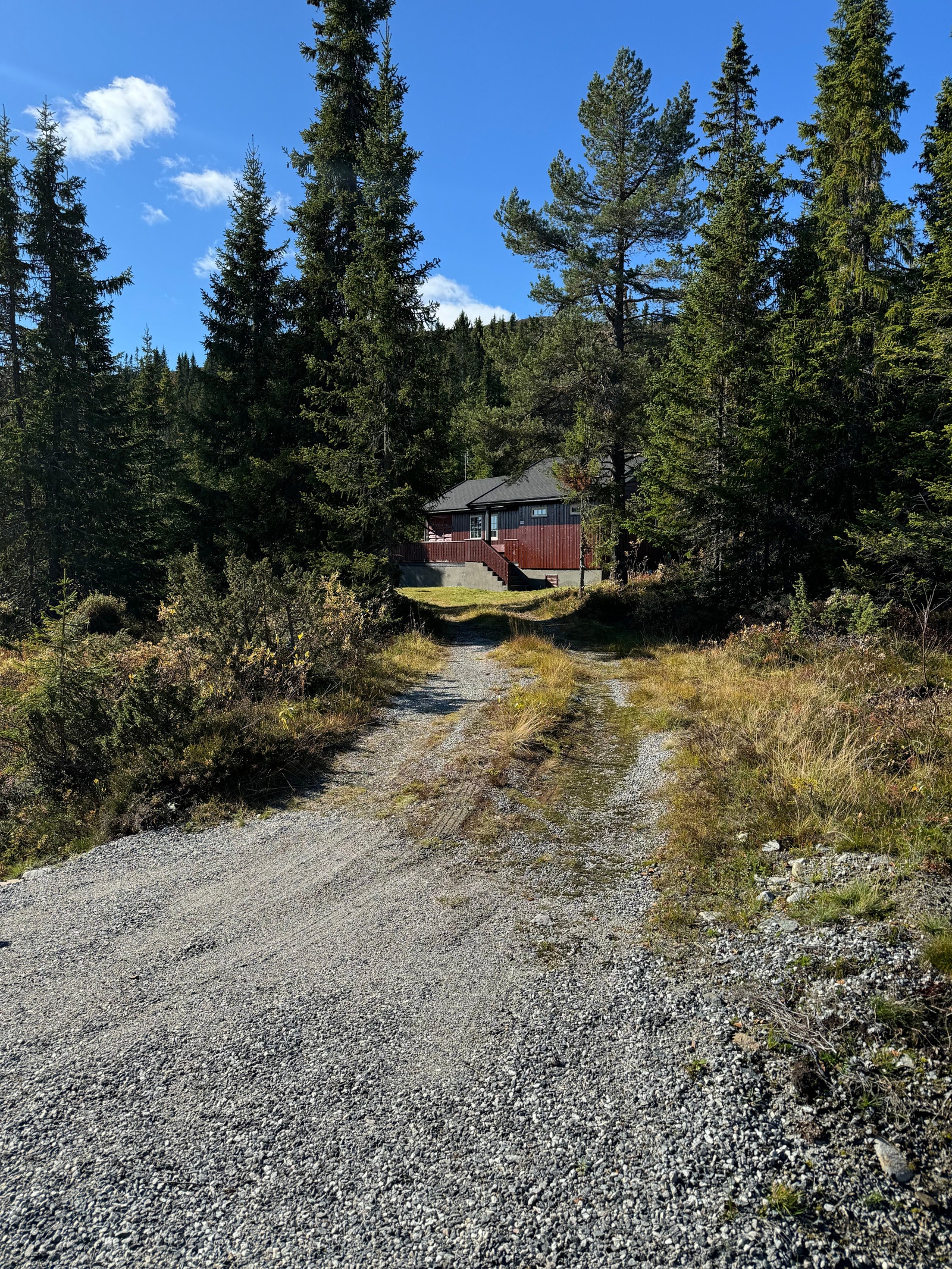 Privat stikkvei inn mot hytta med plass til flere biler. Galleribilde