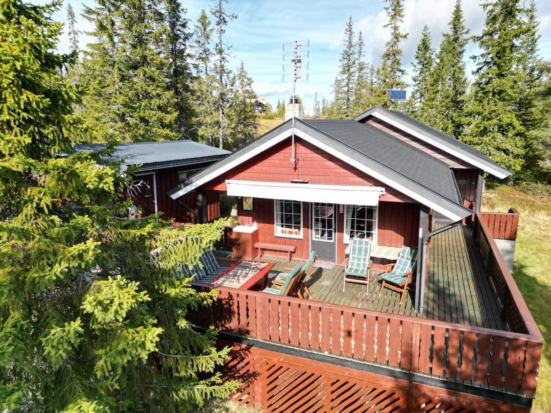 Ettermiddag/kveldsola kan nytes her. Galleribilde