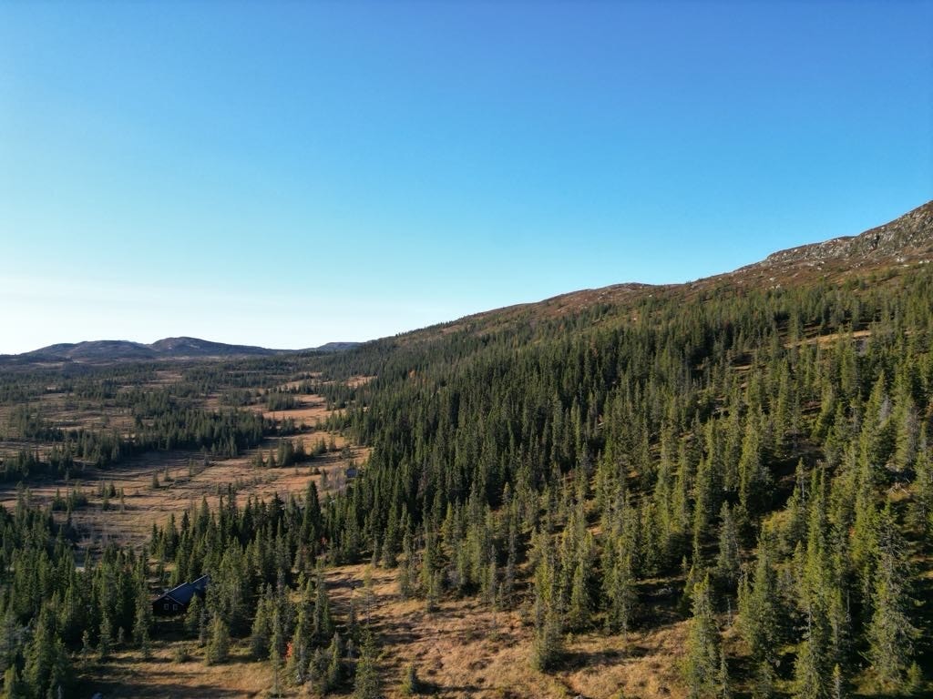 Retning Småtjern. Skiløype på vinter som kobles inn på Haglebu-Tempelseter. Galleribilde