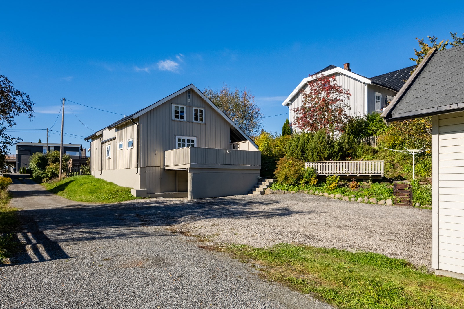 Muligheter for å dyrke grønnsaker. Galleribilde