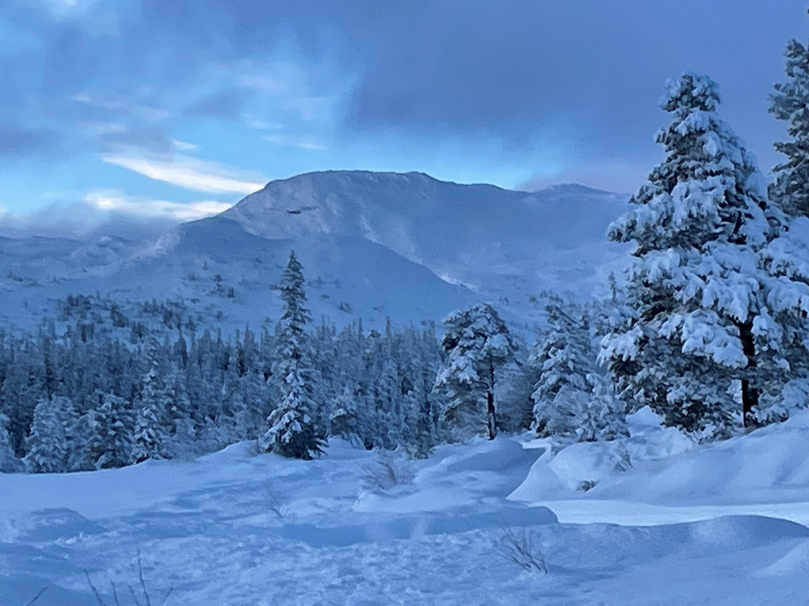 Vinter på Vegglifjell Galleribilde