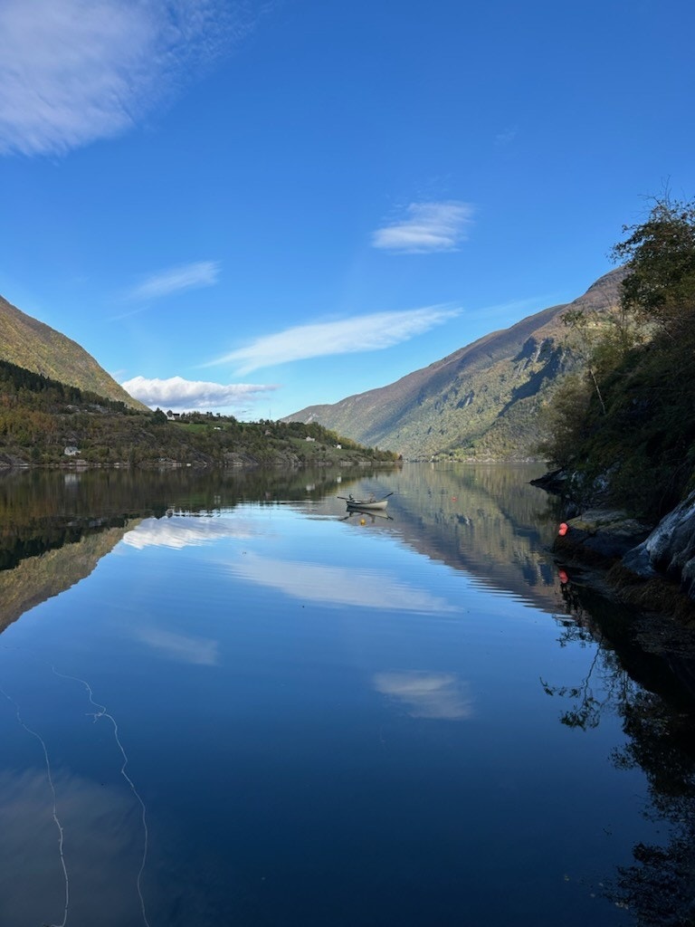 Fra fjorden mot Nese/Arnafjord Galleribilde