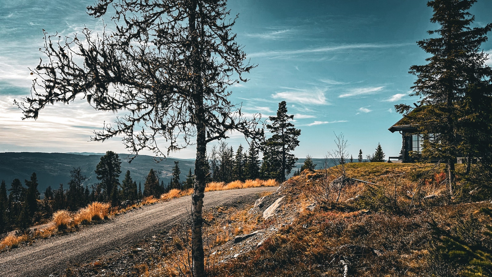 Utsikt mot Golsfjellet i vest Galleribilde