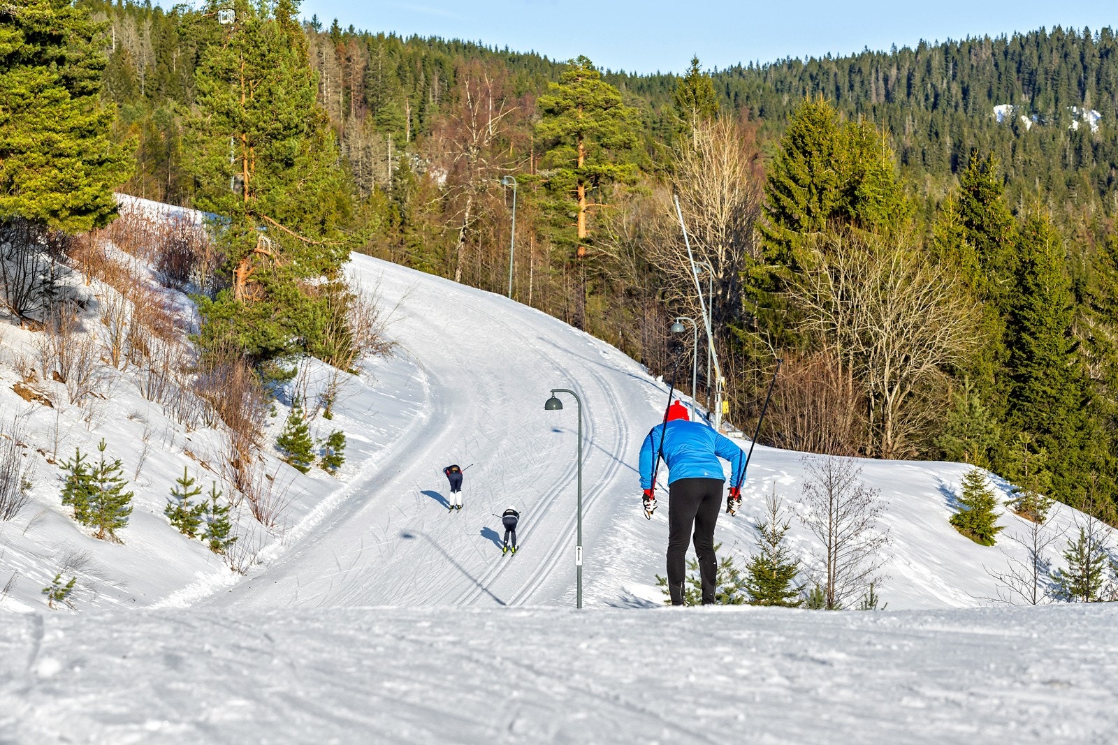 Fra Holmenkollen Galleribilde