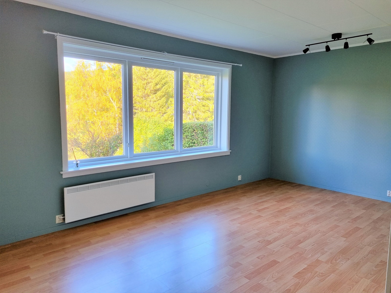 Stue med frisikt Galleribilde
