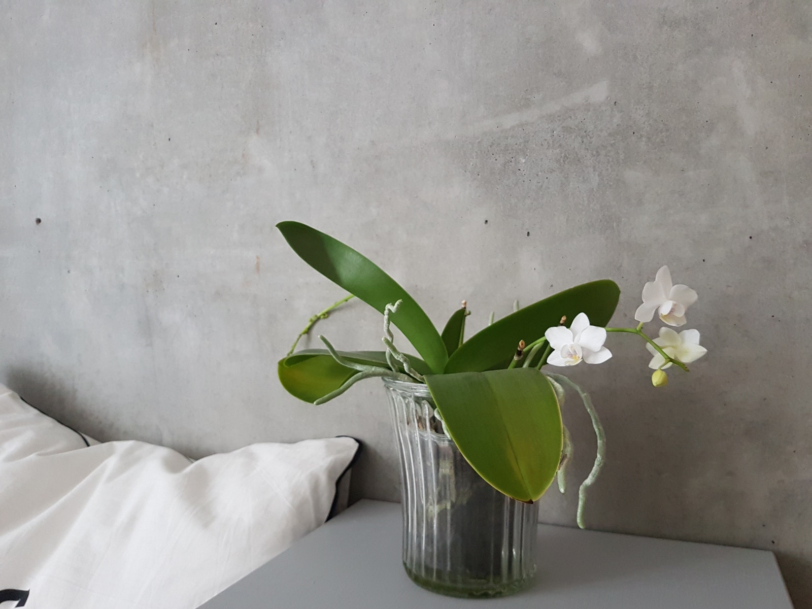 Modern betong vegg i soverommet Galleribilde