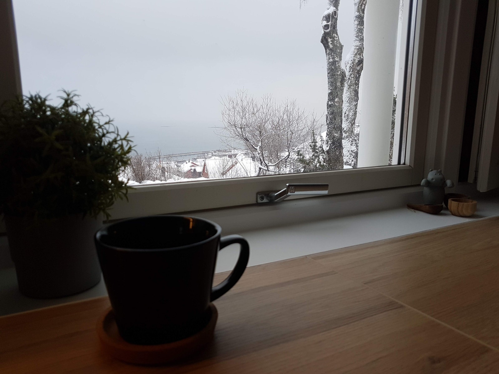 Spenende morgenutsikt garantert uansett årstid 😉 Galleribilde