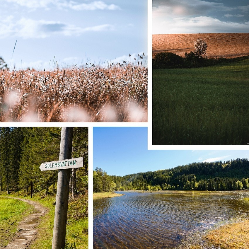 Solemsvåttan Galleribilde