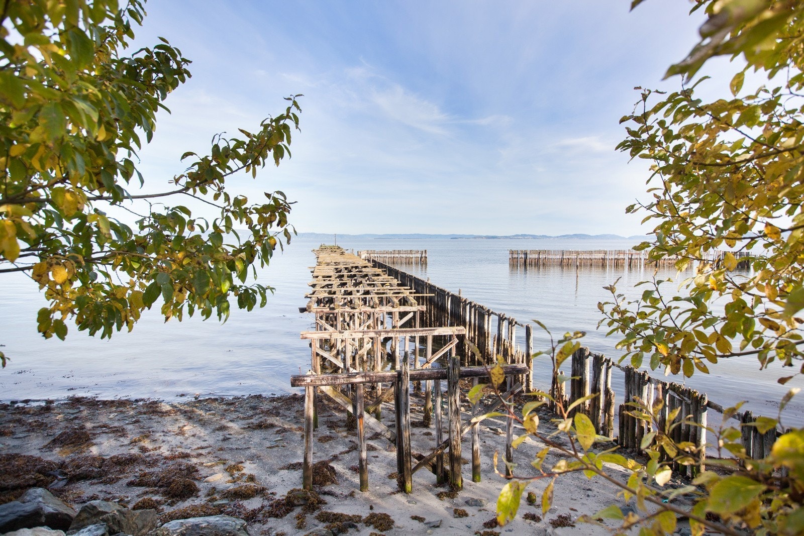 Ranheimsfjæra Galleribilde