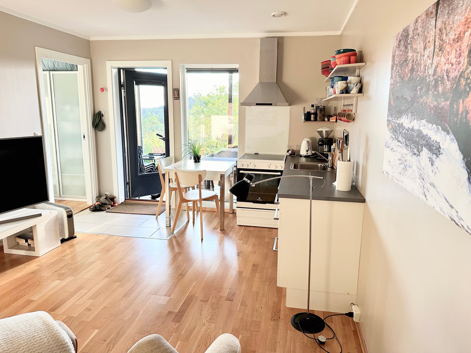 stue/kjøkken med utsikt til hoveddør og platting/hage Galleribilde