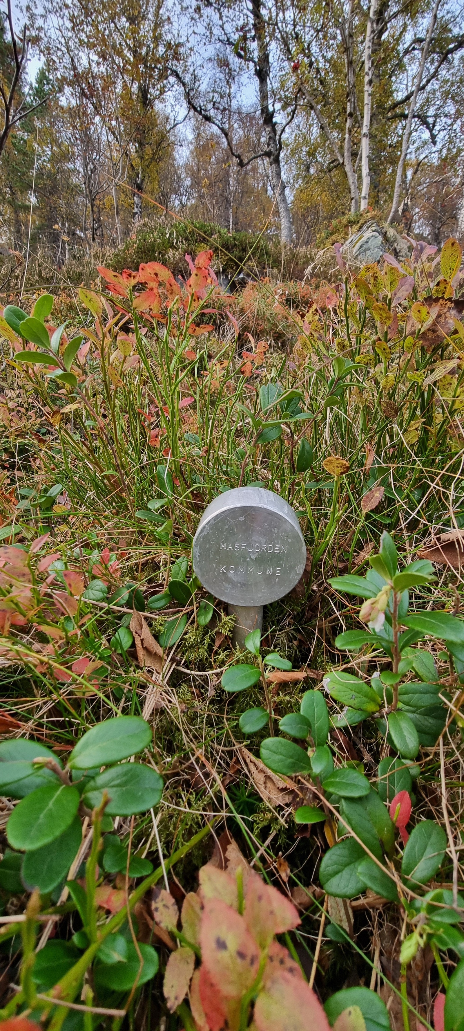 Merke Masfjorden kommune Galleribilde