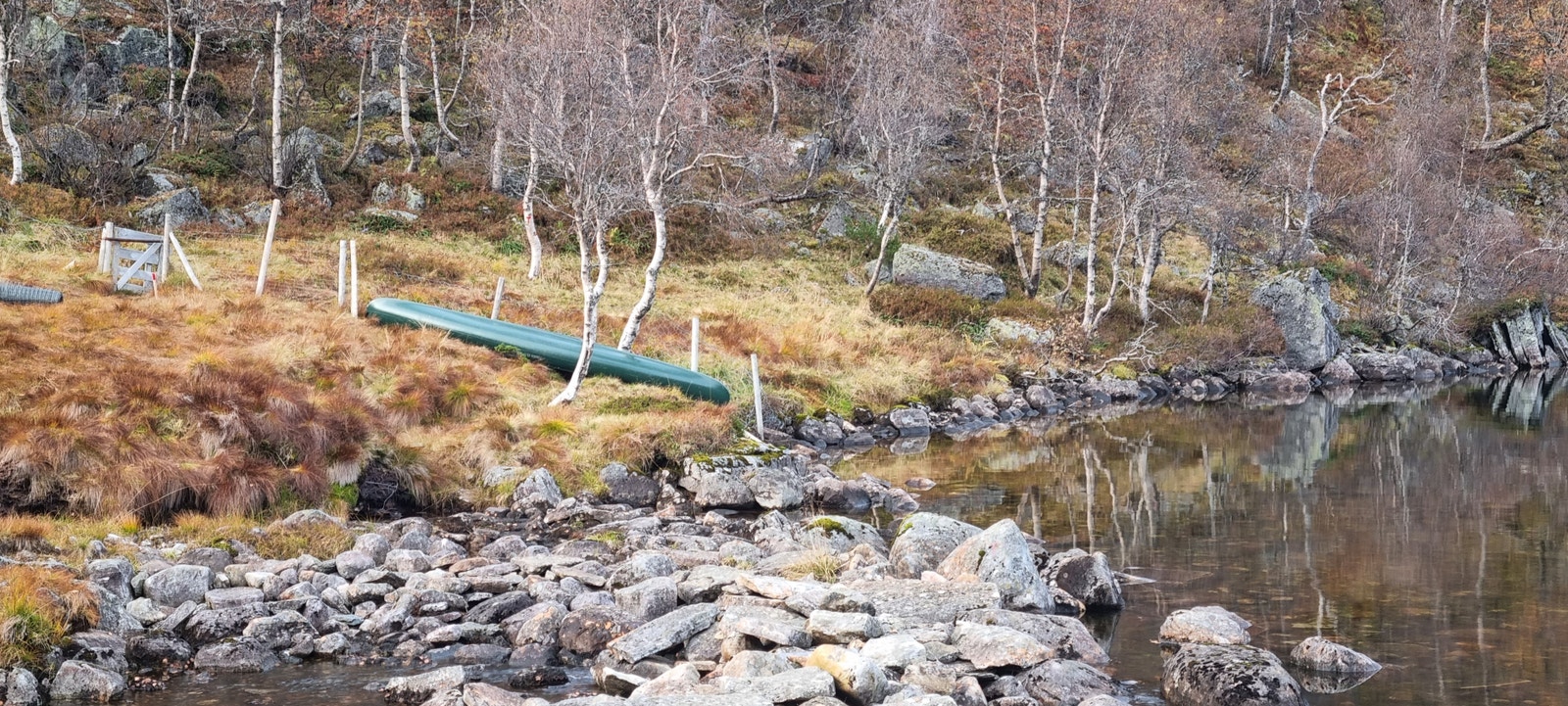 Bukkedalen Galleribilde