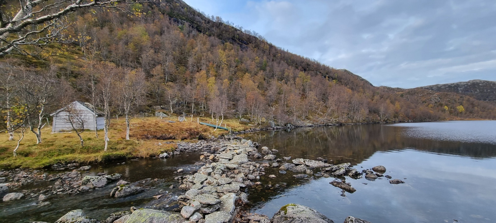 Bukkedalen Galleribilde