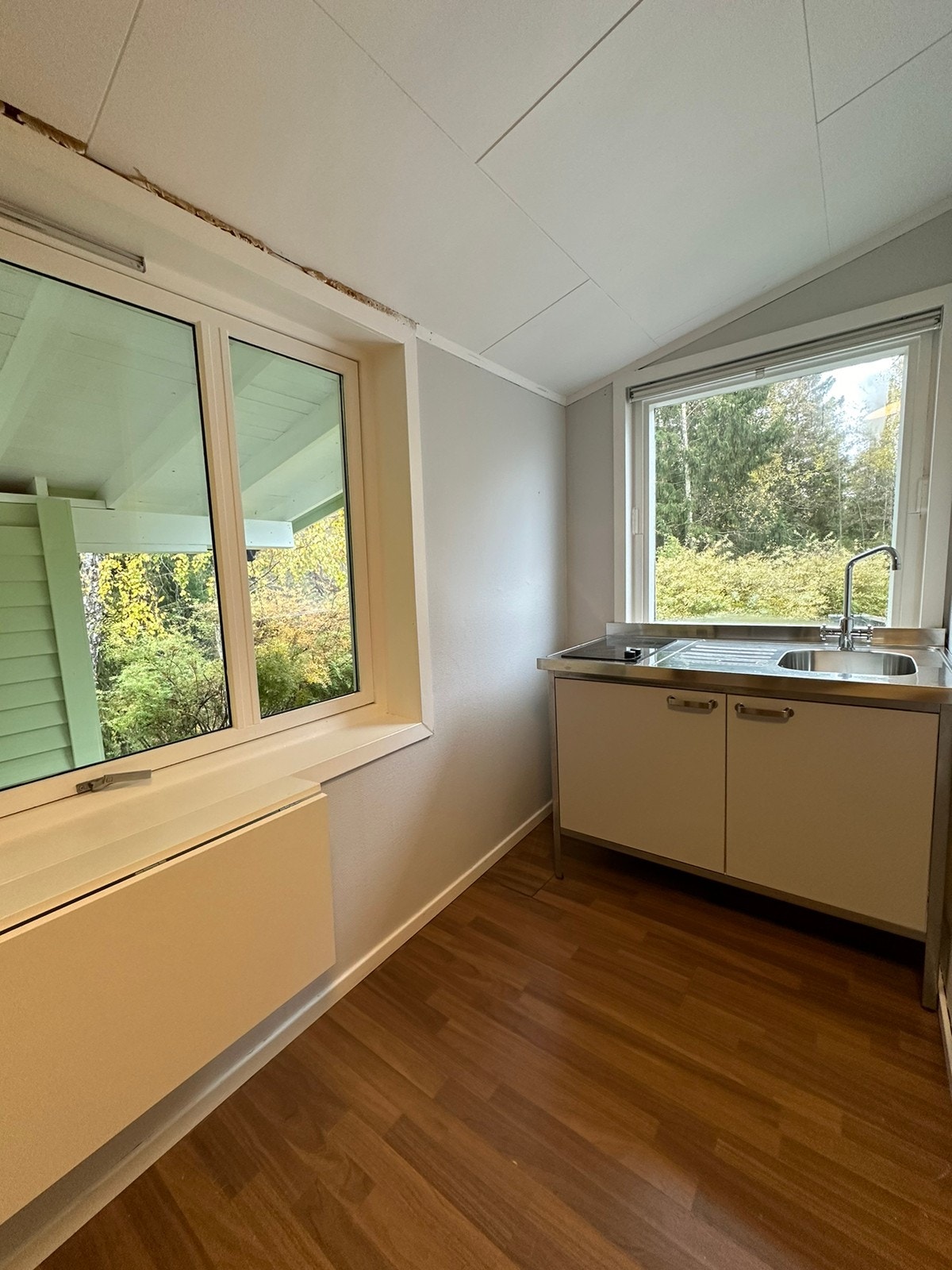 Utsikt til skogen Galleribilde