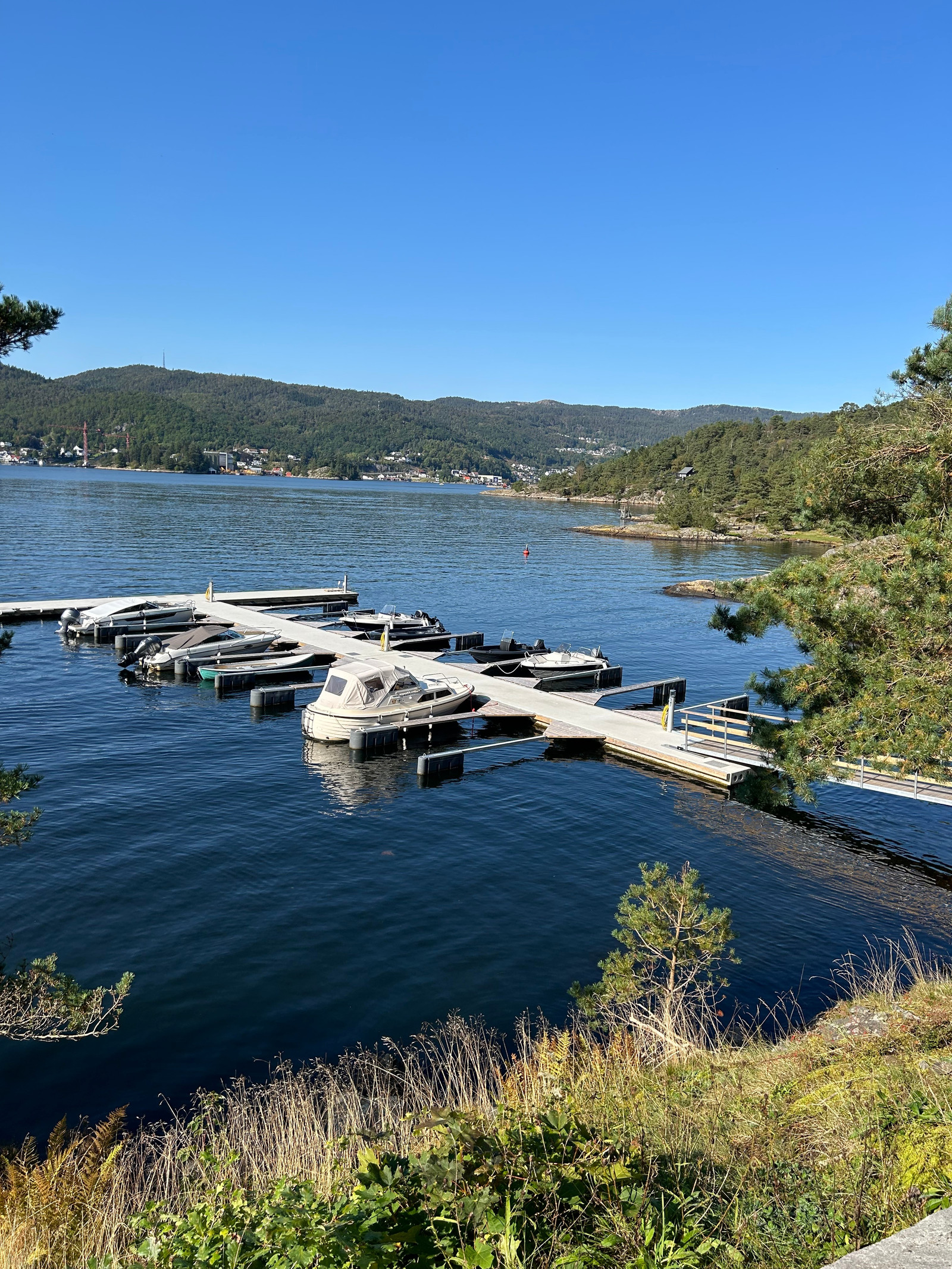 Småbåthavn med mulighet til å kjøpe båtpass