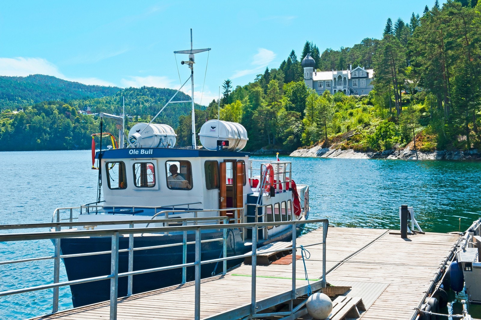 Ole Bull Galleribilde