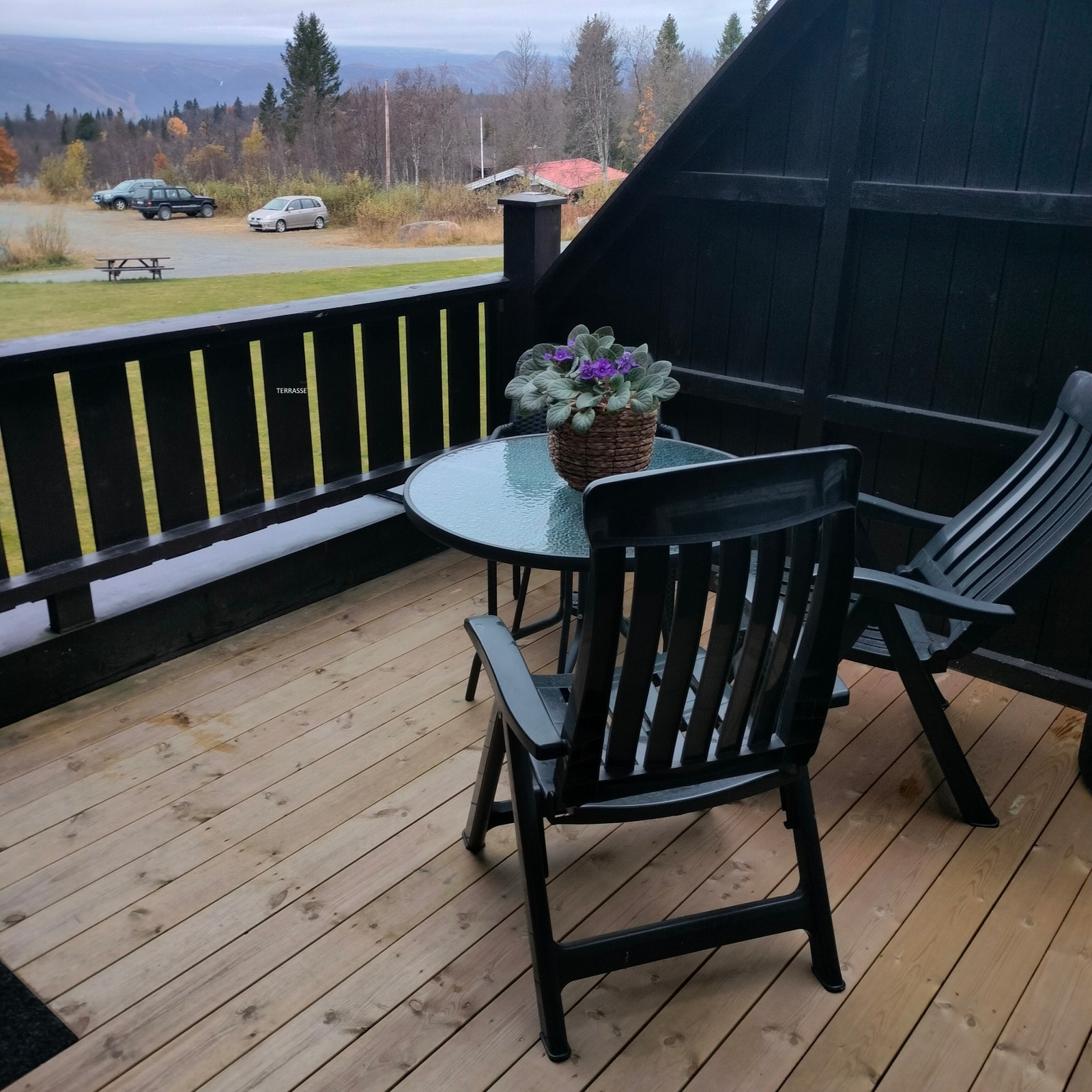 TERRASSE Galleribilde