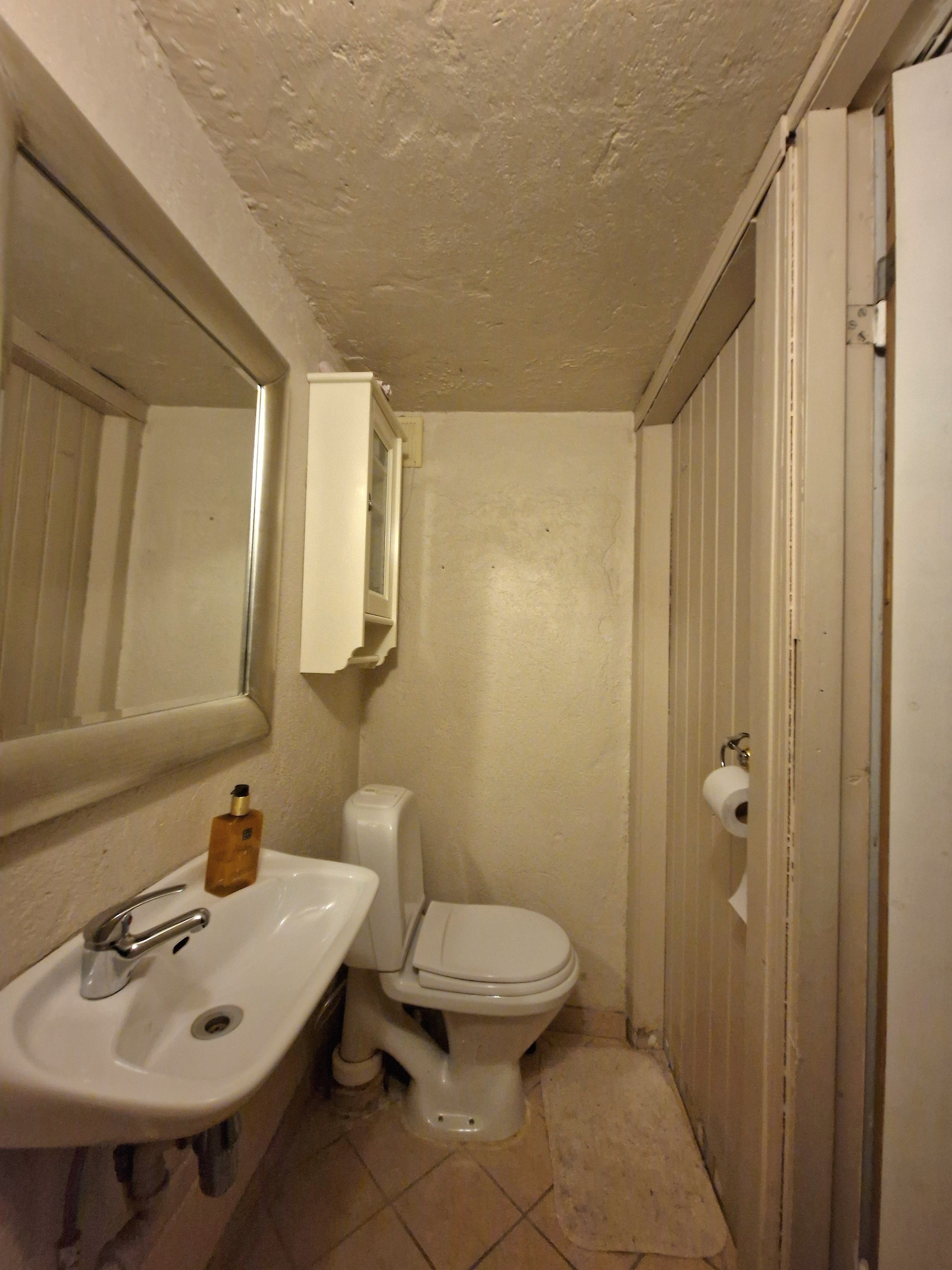 Toalett Galleribilde