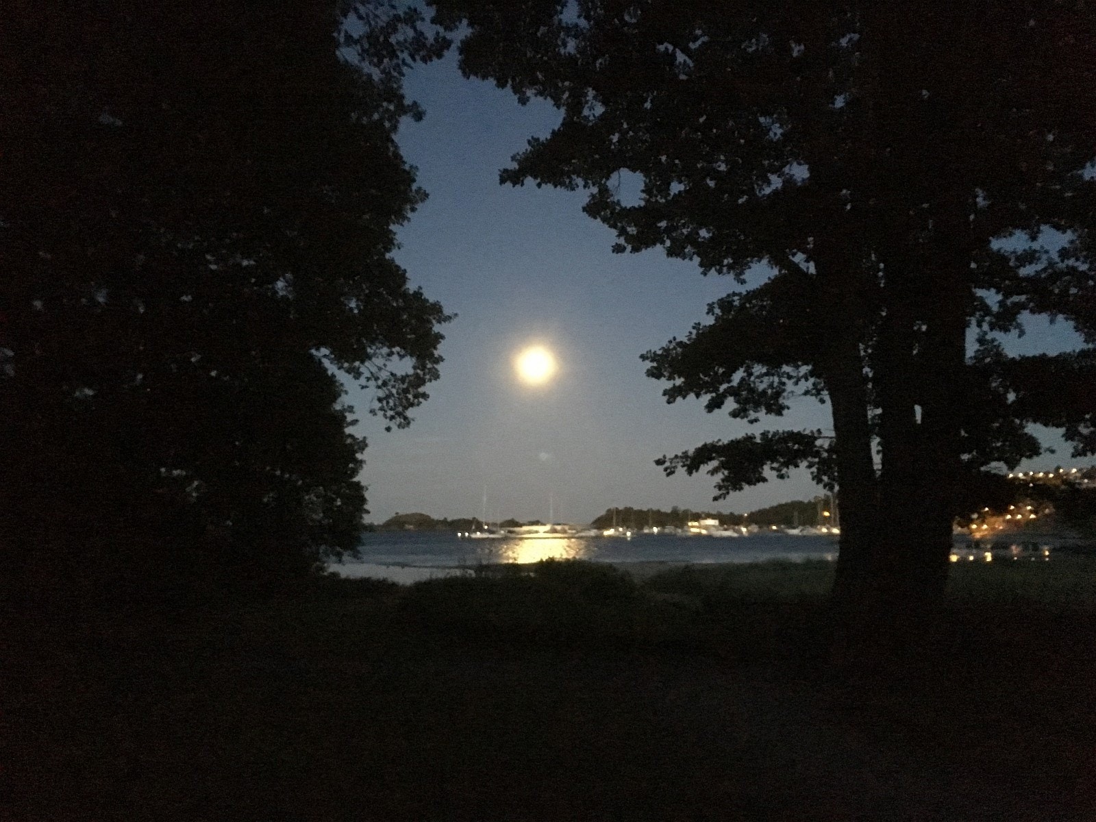 Utsikten fra Gittas hus når mørket har senket seg. Galleribilde