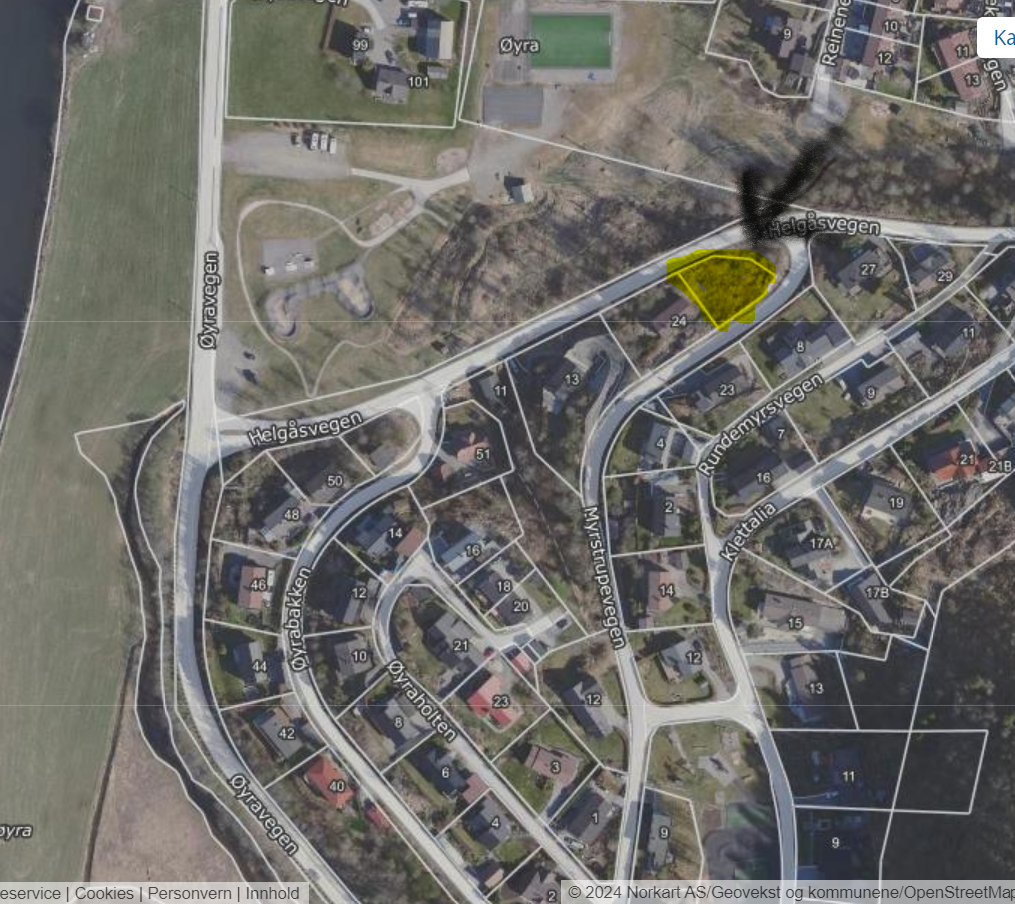 Tomten med nærområdet Galleribilde