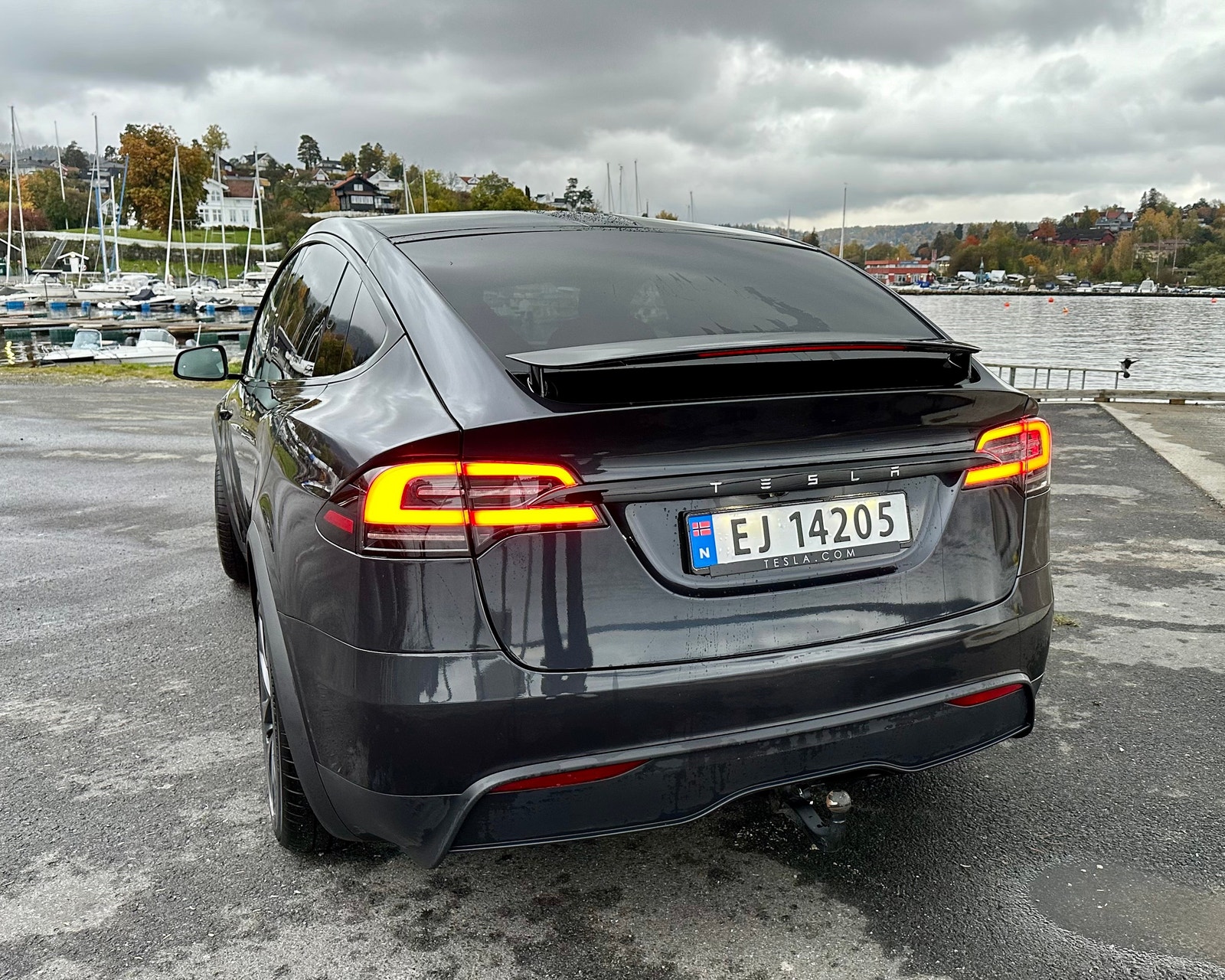 Tesla Model X 6