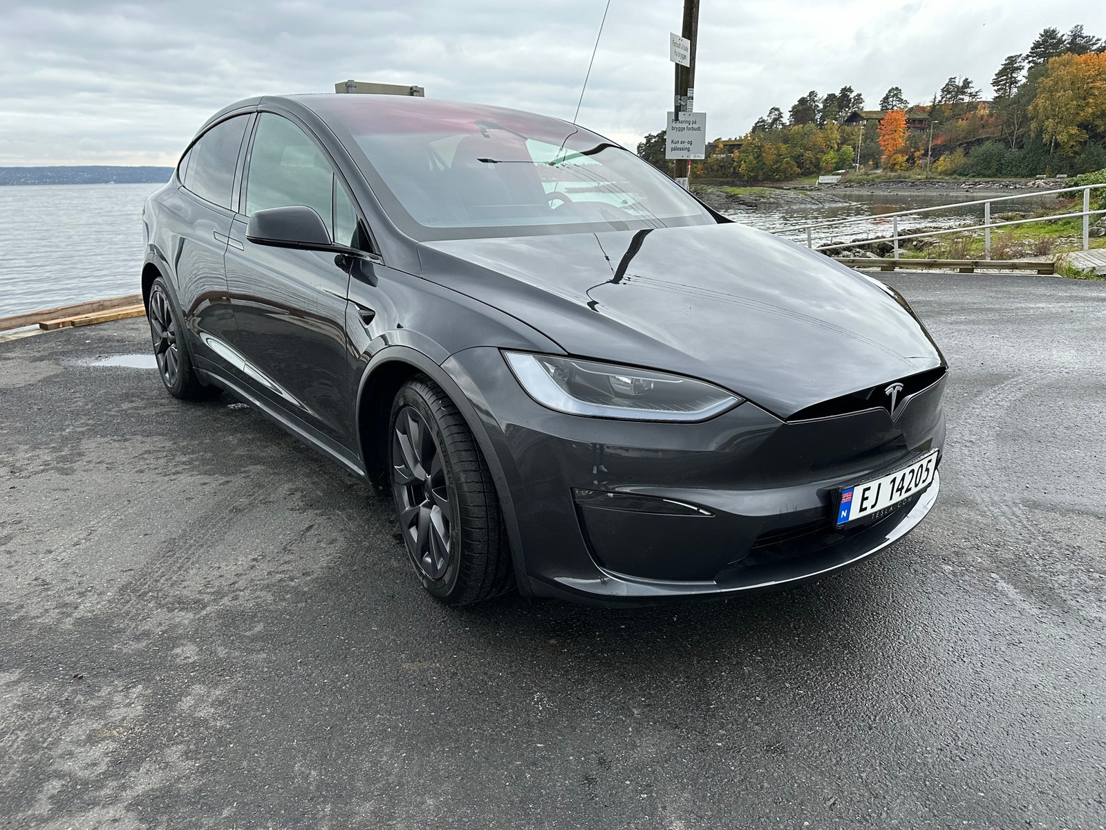 Tesla Model X 16