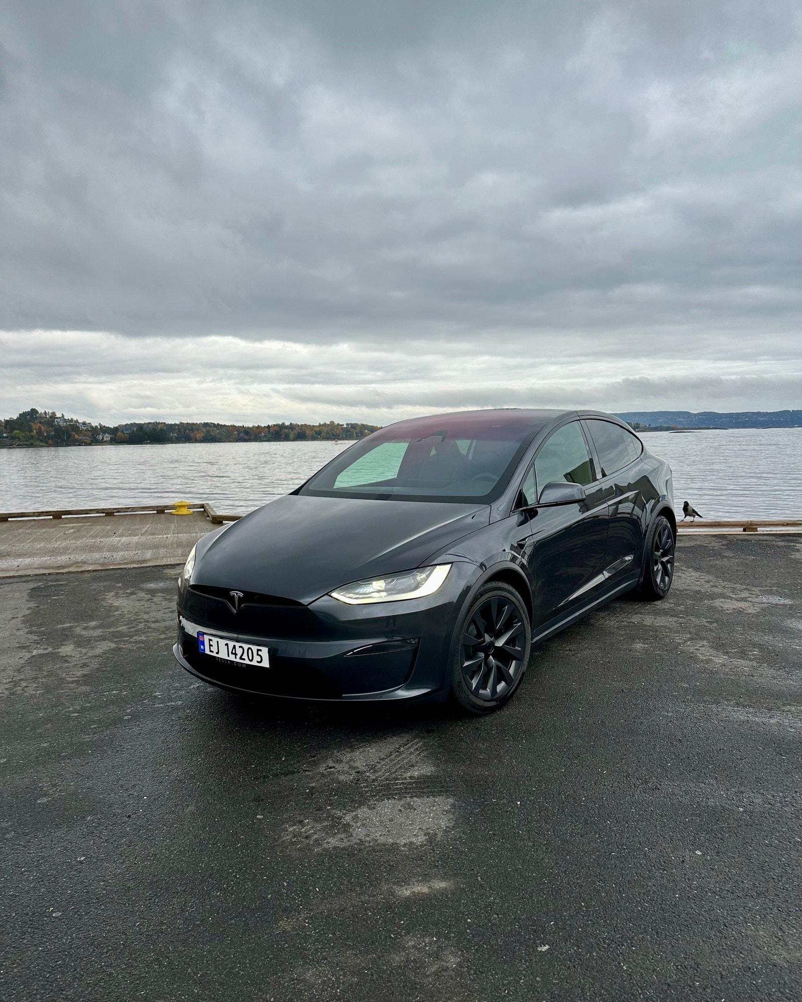 Tesla Model X 2