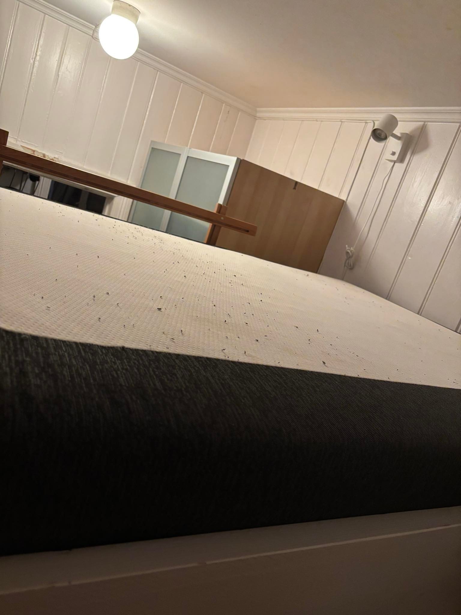 Senga er heva over bakken Galleribilde