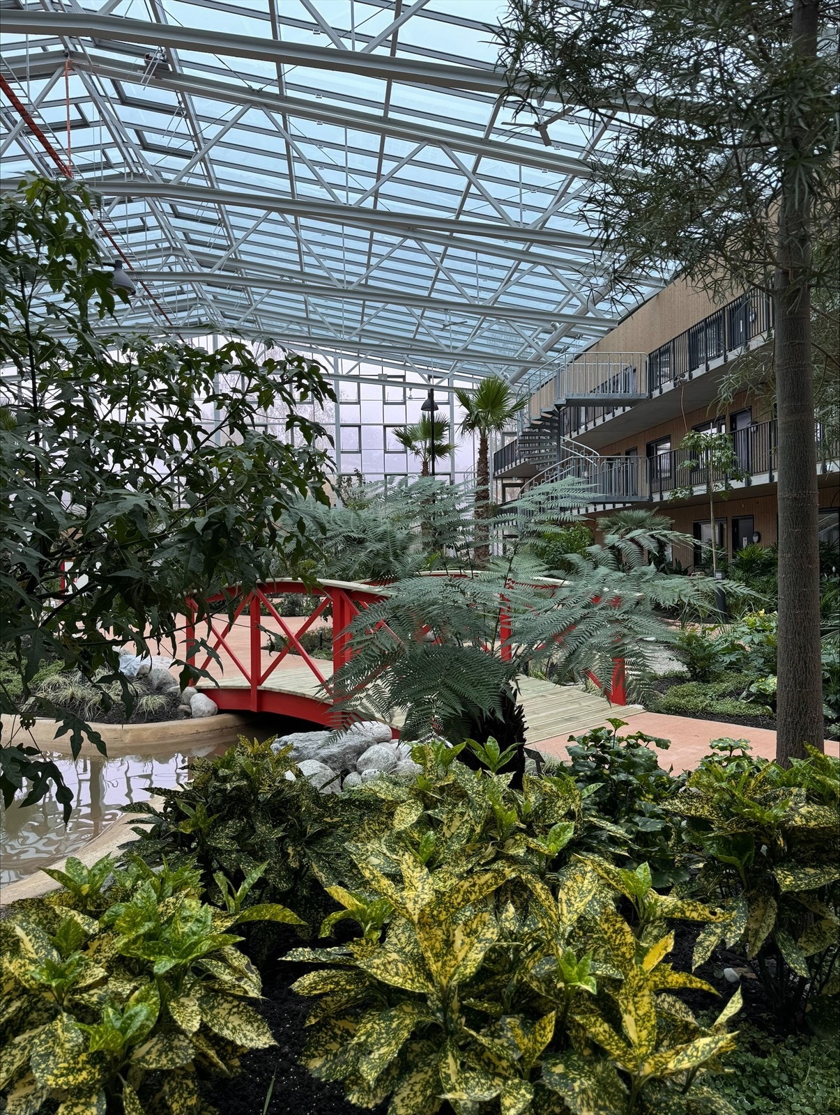 Stemningsbilde fra vinterhagen Galleribilde